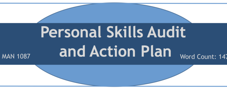 Personal Skills Audit & Action Plan – Developing Professionals (Man 1087)